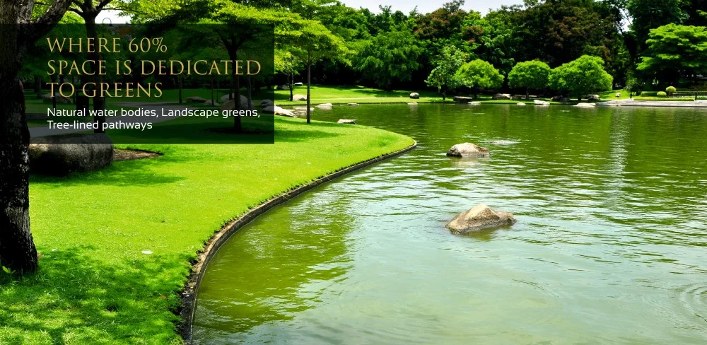 Bareilly's biggest parks and beautiful nature pond